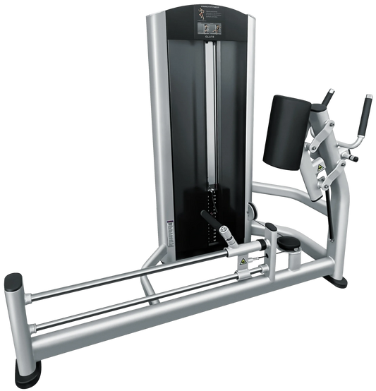 French Fitness FFS Silver Glute Machine (New)