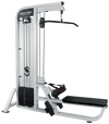 French Fitness Shasta Lat Pulldown / Low Row (New)