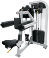 French Fitness Shasta Lateral Lat Raise (New)