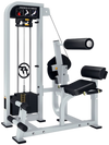 French Fitness Shasta Selectorized Back Extension (New)
