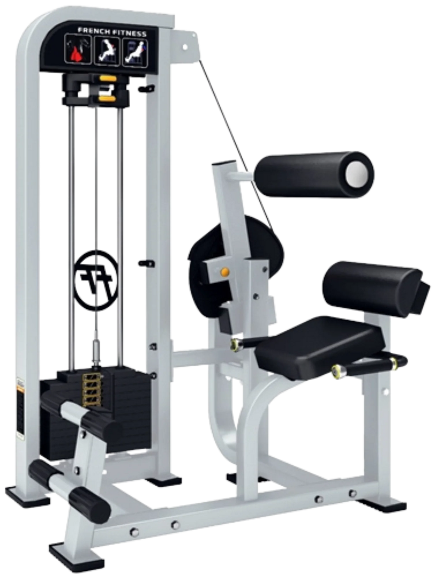 French Fitness Shasta Selectorized Back Extension (New)