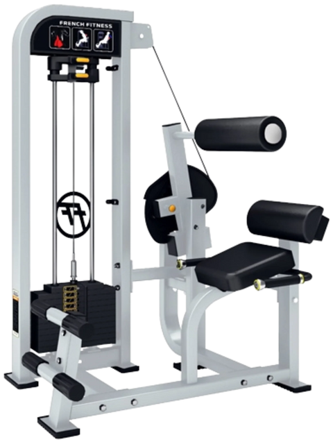 French Fitness Shasta Selectorized Back Extension (New)