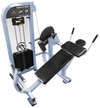 French Fitness Shasta Selectorized Horizontal Ab Crunch  (New)