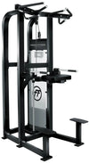 French Fitness Tahoe Assisted Chin Dip (New)