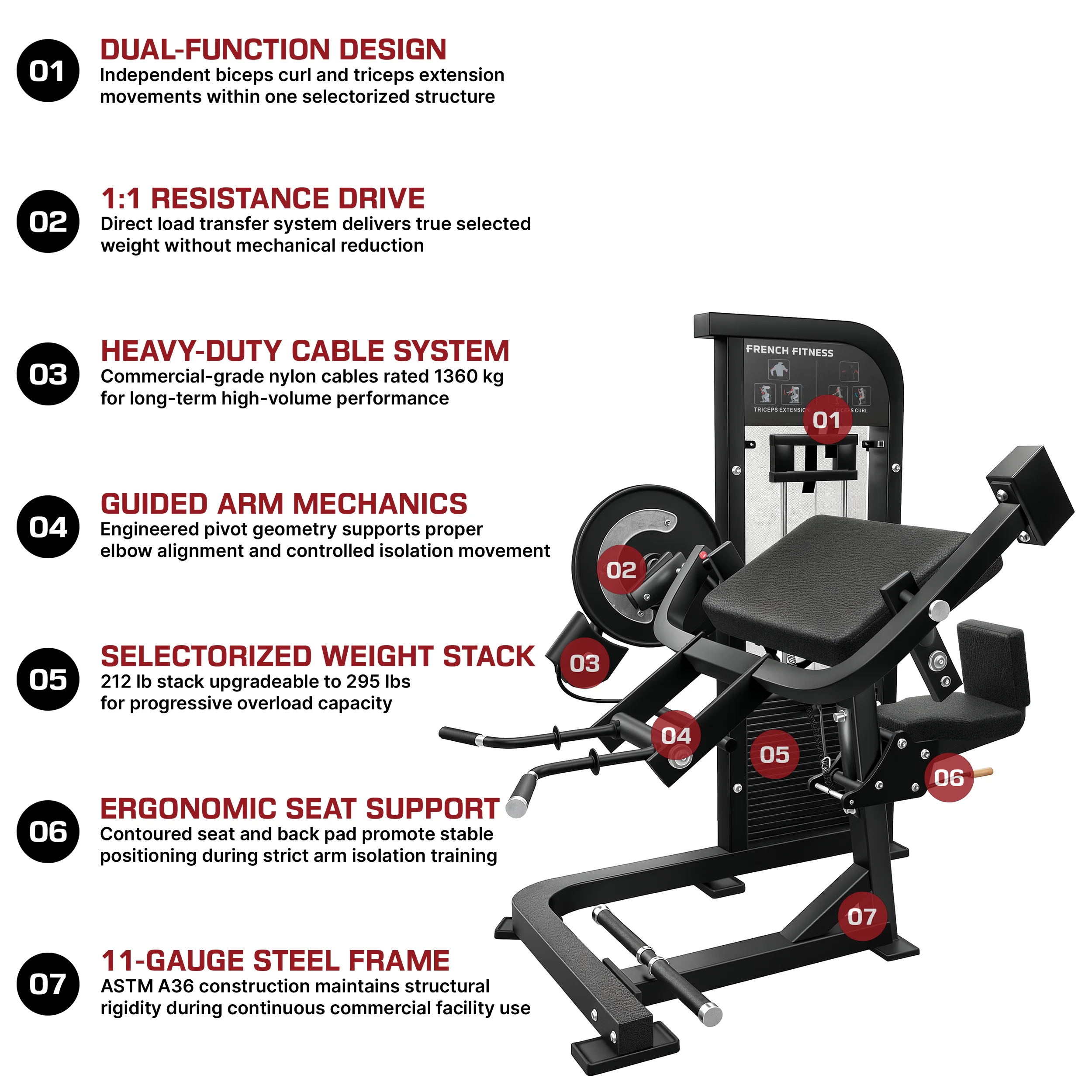 Tahoe Dual Bicep Curl / Tricep French Fitness - Infographics