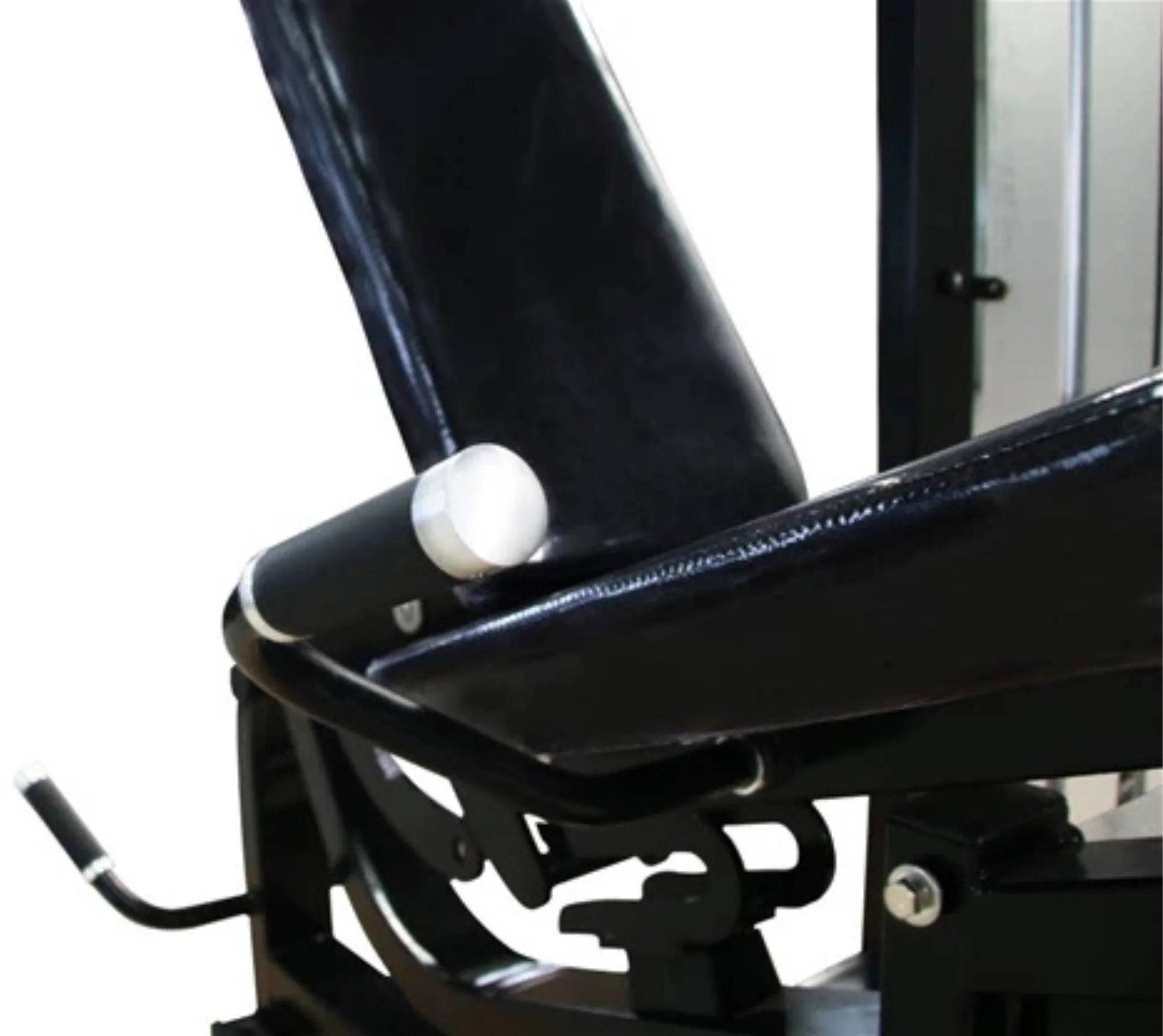 French Fitness Tahoe Prone Leg Curl / Leg Extension (New)