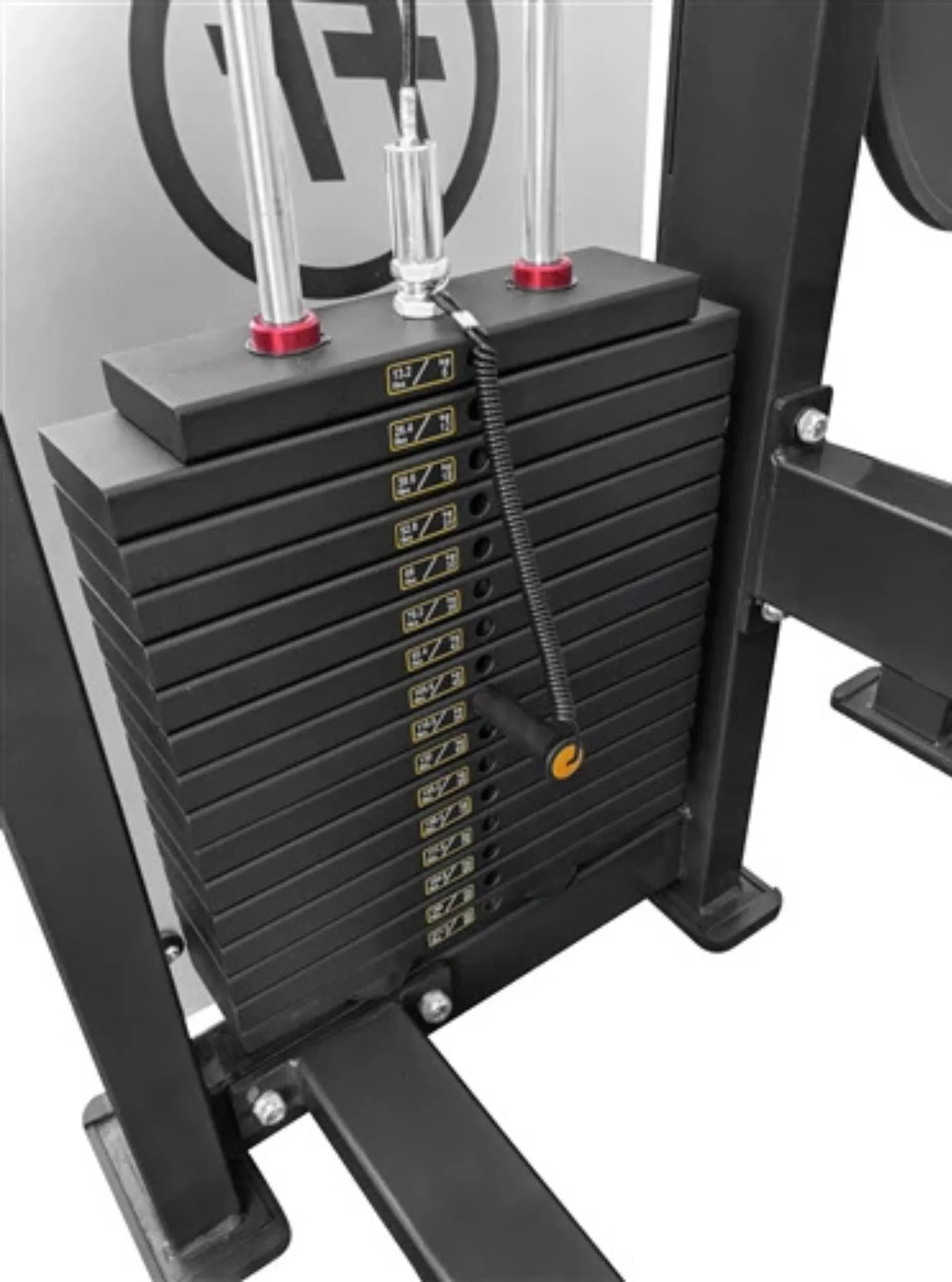 French Fitness Tahoe Prone Leg Curl / Leg Extension (New)