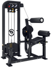 French Fitness Tahoe Selectorized Back Extension (New)