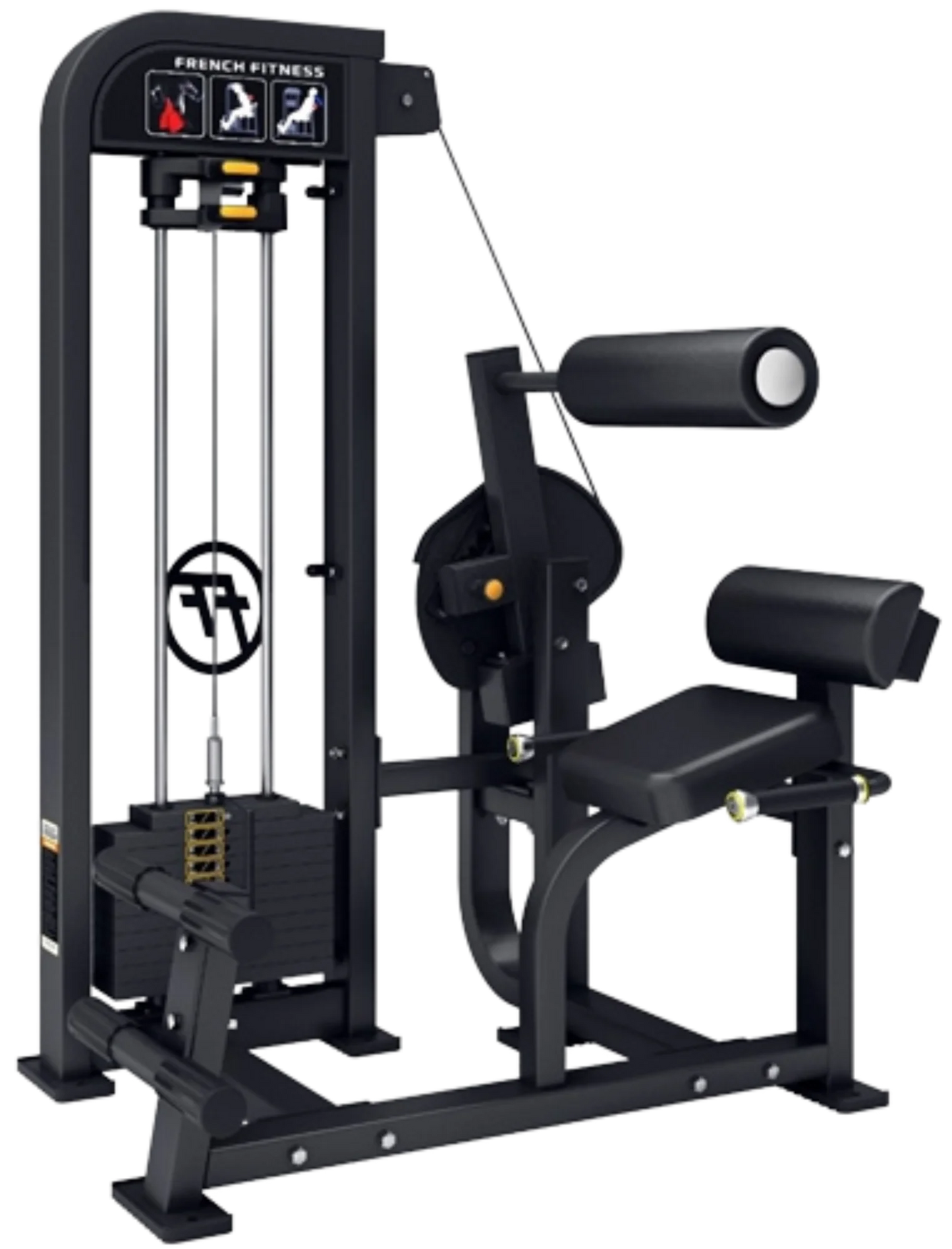 French Fitness Tahoe Selectorized Back Extension (New)
