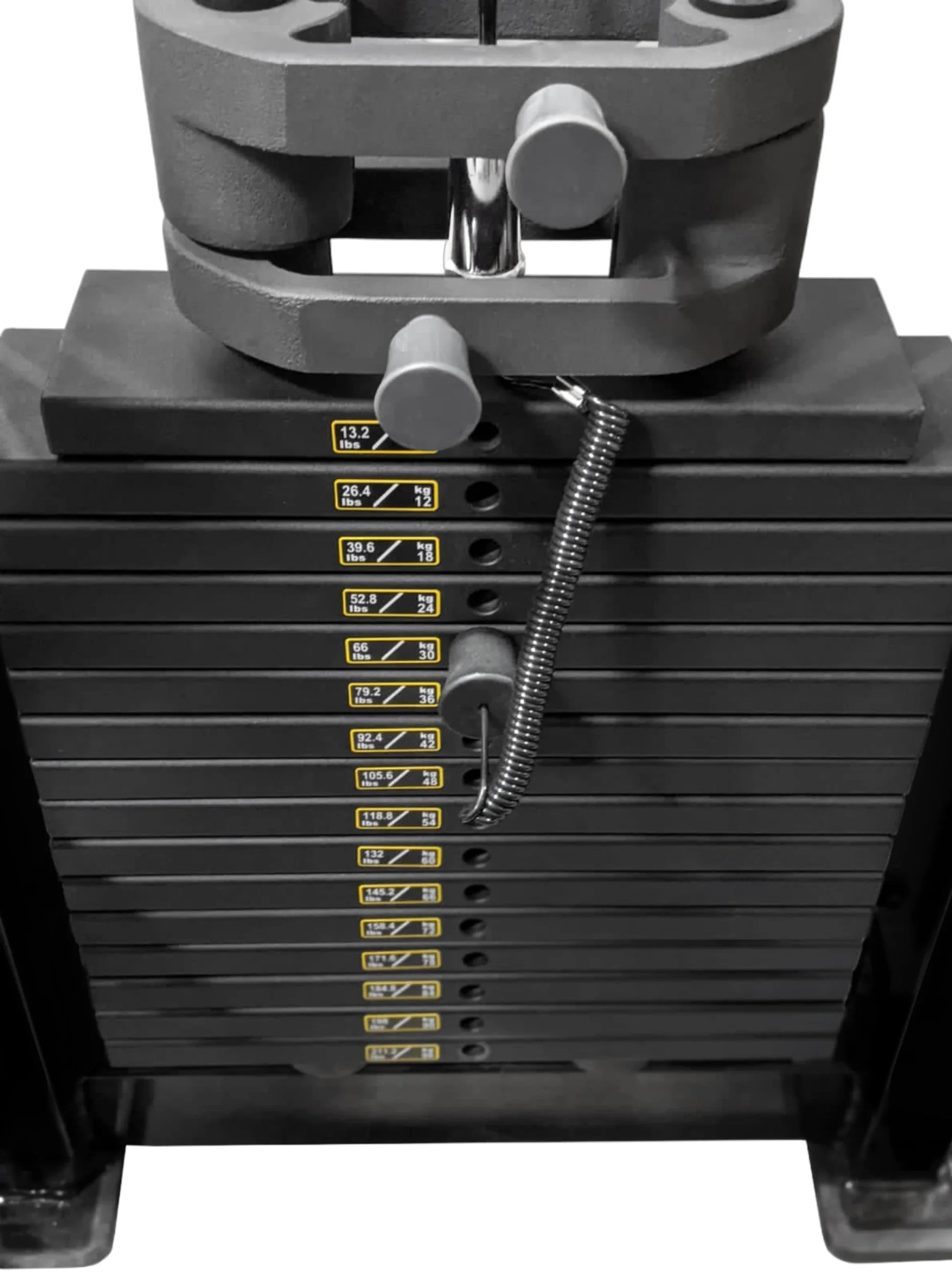 French Fitness Tahoe Seated Leg Curl / Leg Extension (New)