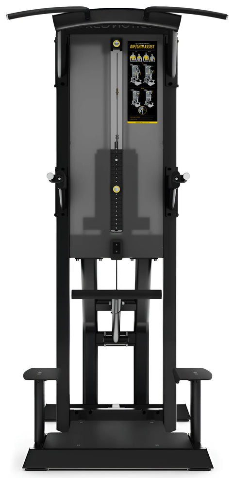 Freemotion Epic Chin / Dip Assist (Remanufactured)