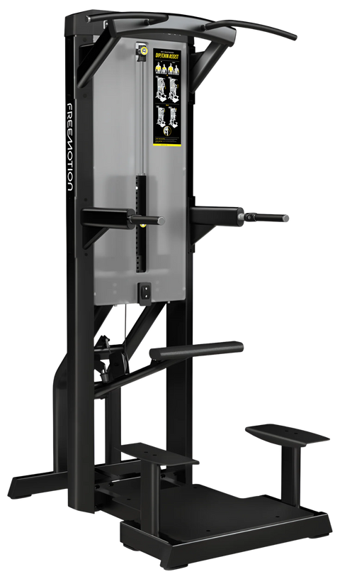 Freemotion Epic Chin / Dip Assist (Remanufactured)