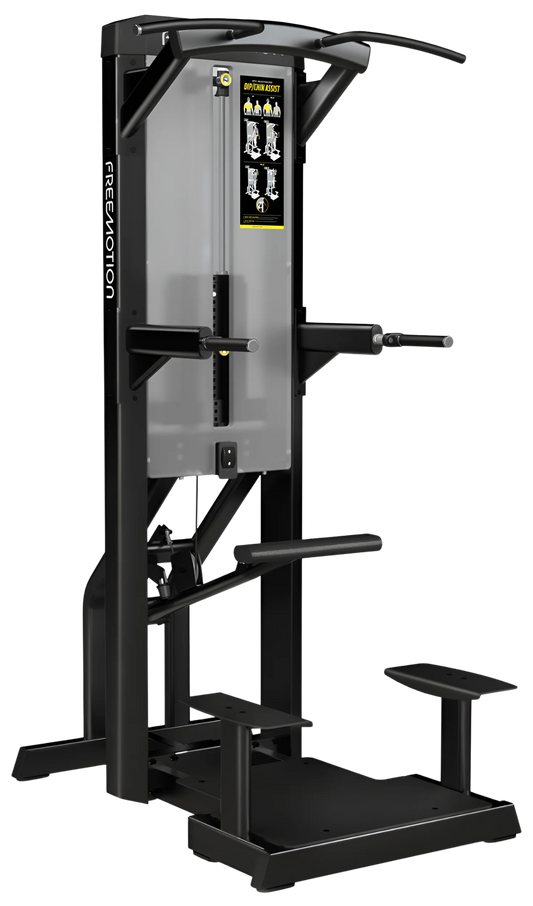 Freemotion Epic Chin / Dip Assist (Remanufactured)