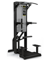 Freemotion Epic Chin / Dip Assist (Remanufactured) Image