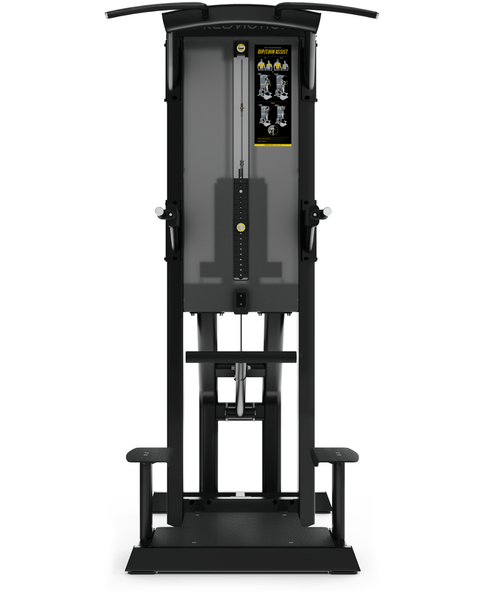 Freemotion Epic Chin / Dip Assist (Remanufactured) Image 2