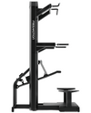 Freemotion Epic Chin / Dip Assist (Remanufactured) Image 3