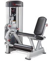 FreeMotion Epic Leg Extension F801 (Remanufactured)