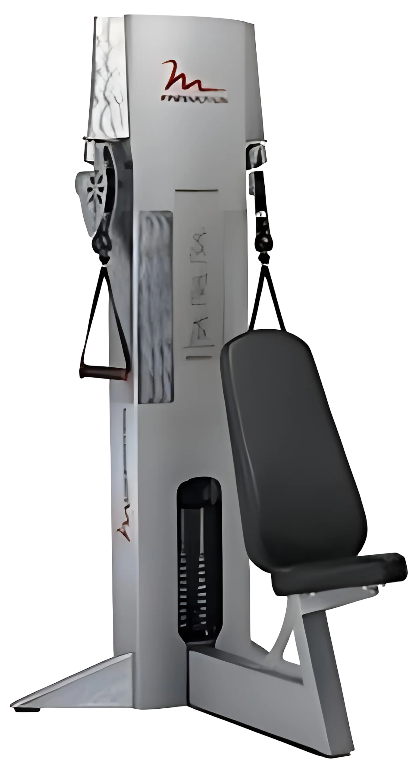 FreeMotion Overhead Tricep GZFM6019 - Angled View