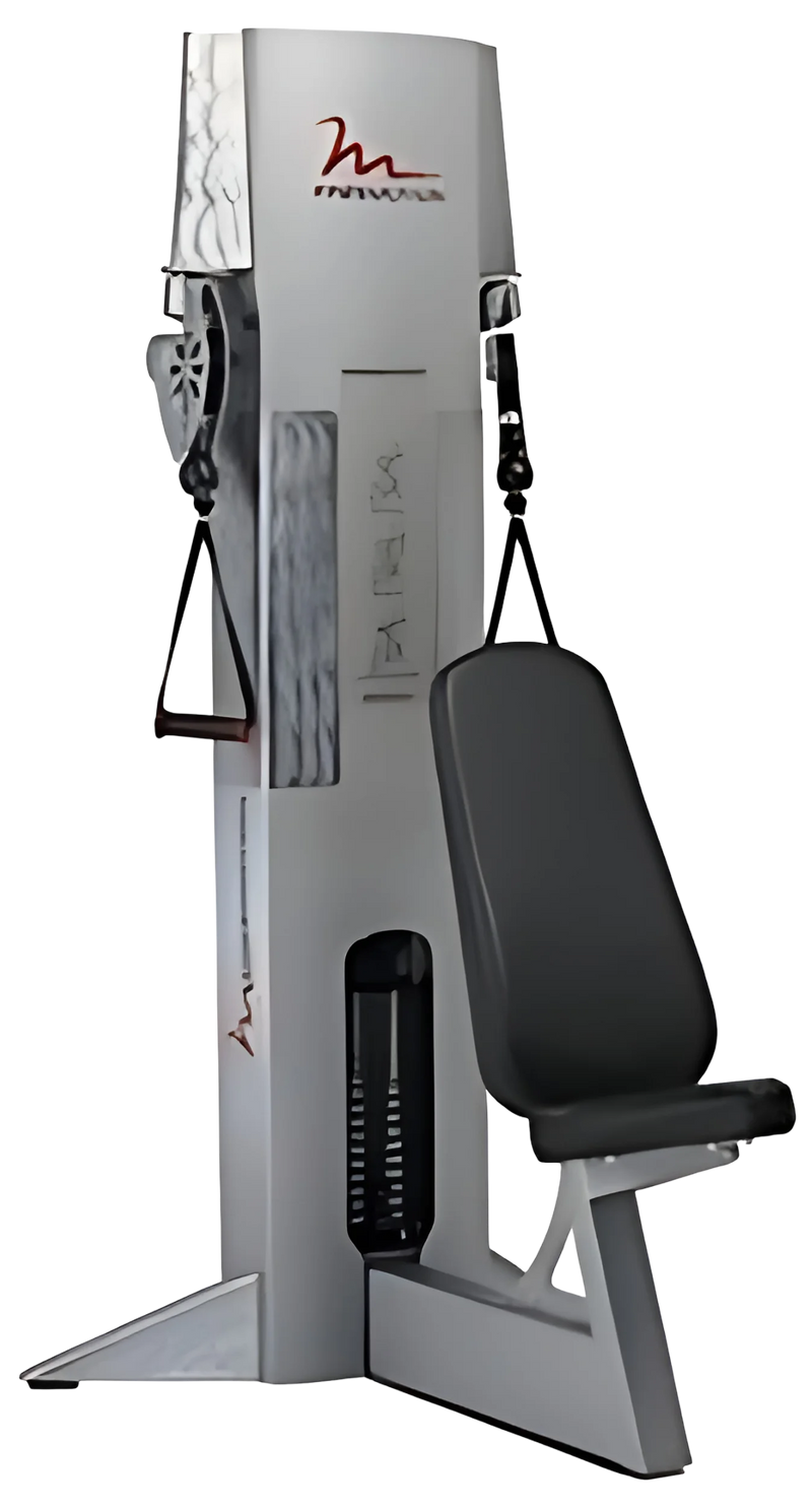 FreeMotion Overhead Tricep GZFM6019 (Remanufactured)