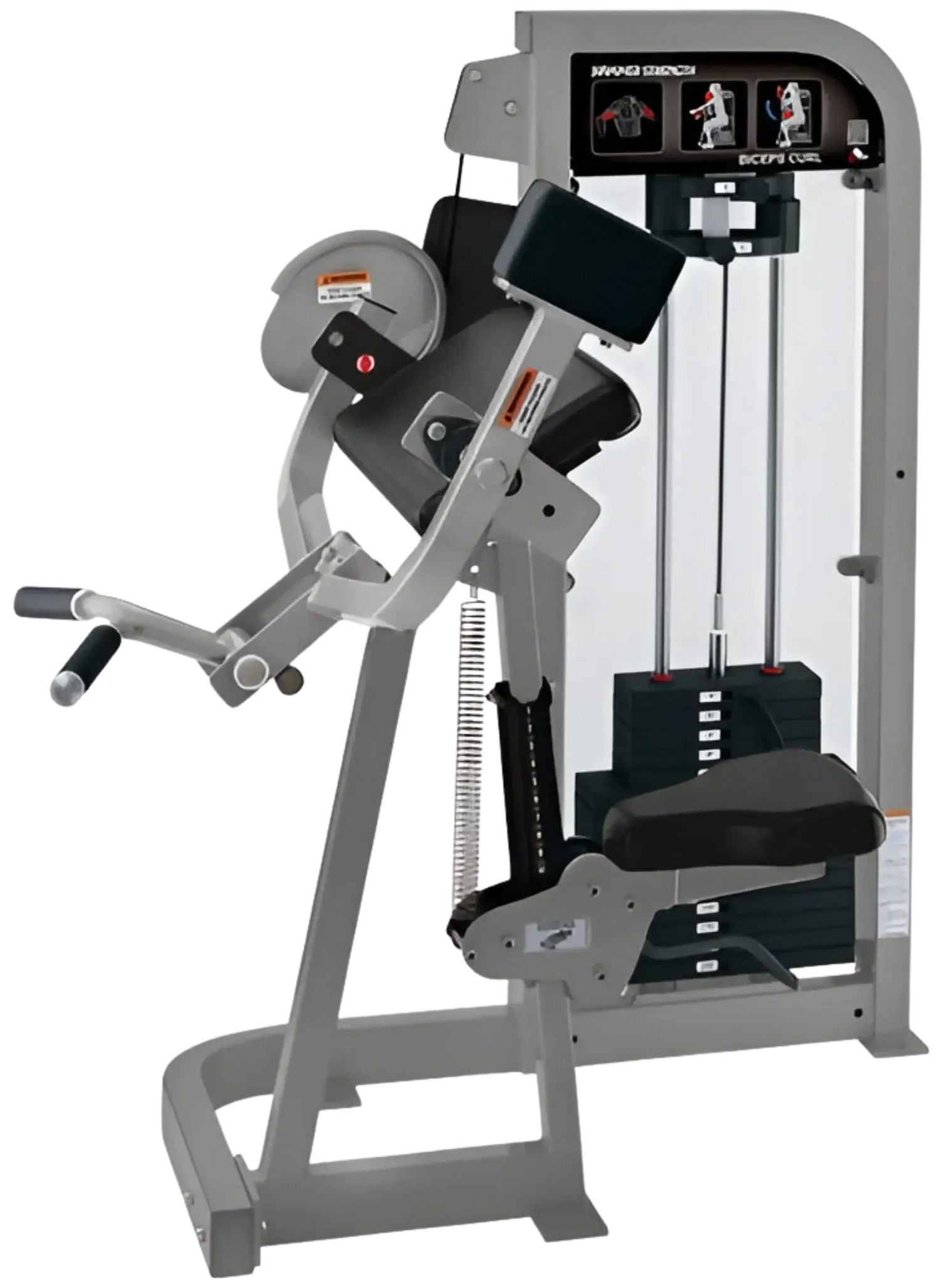 Hammer Strength Select Biceps Curl (Remanufactured) Image