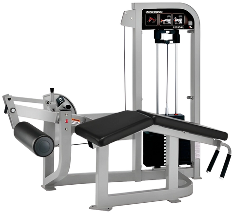 Hammer Strength Select Prone Leg Curl (Remanufactured) Image
