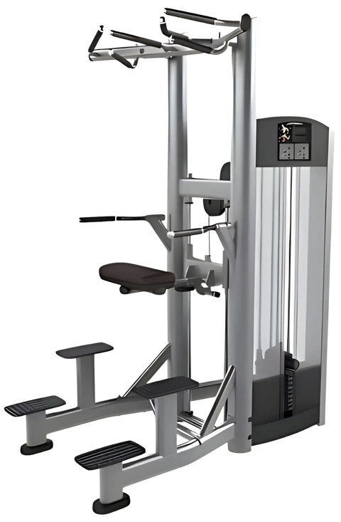 Life Fitness Signature Assist Dip Chin (Remanufactured) Image