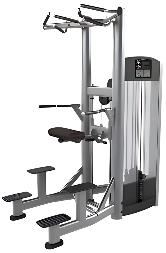 Life Fitness Signature Assist Dip Chin (Remanufactured)
