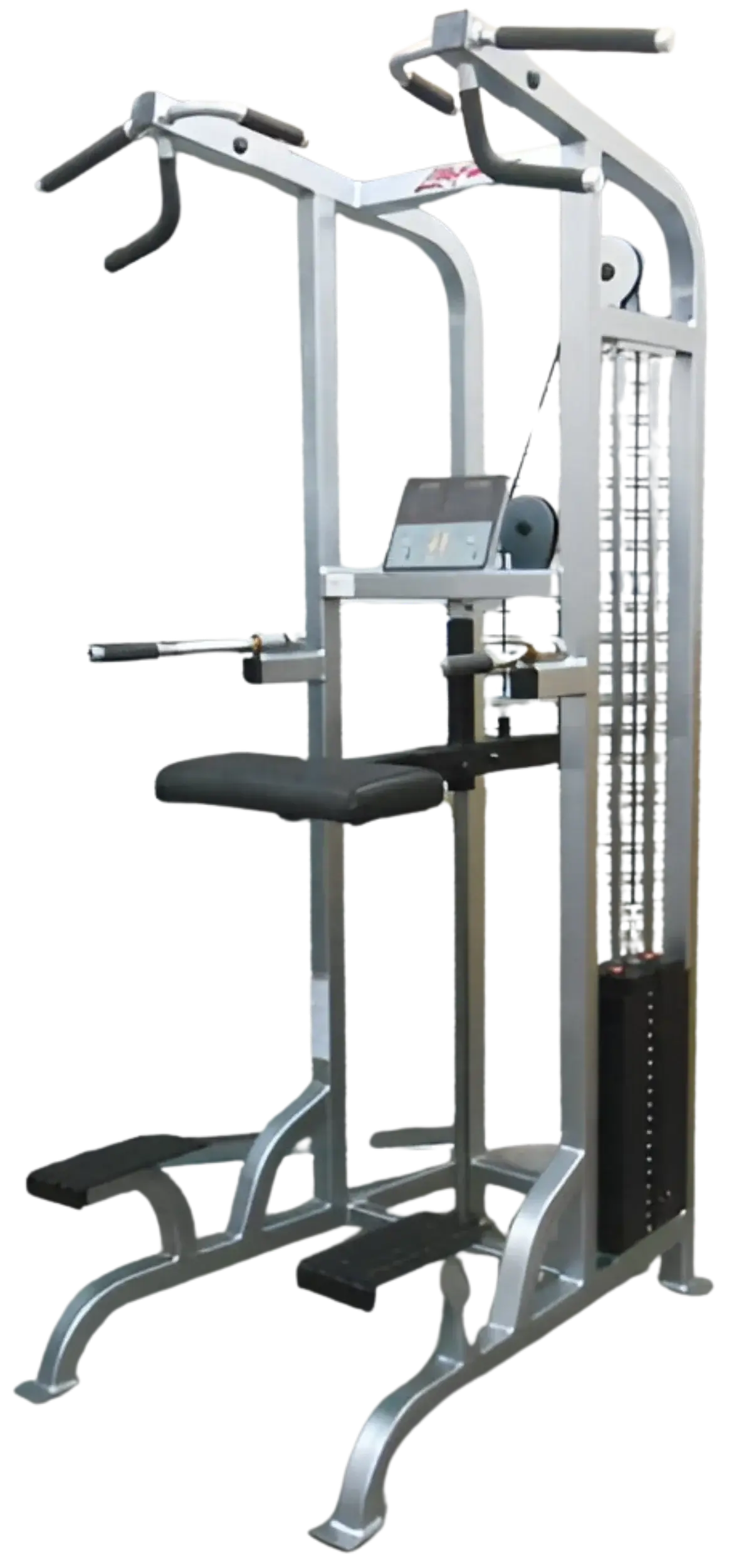 Life Fitness Pro / Pro1 Assisted Chin Dip - Angled View