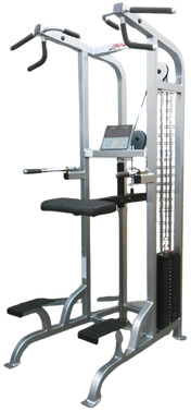 Life Fitness Pro / Pro1 Assisted Chin Dip - Angled View