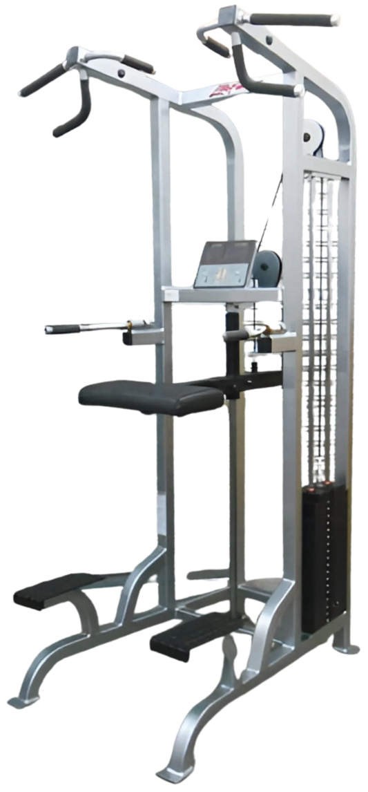 Life Fitness Pro / Pro1 Assisted Chin Dip (Remanufactured)