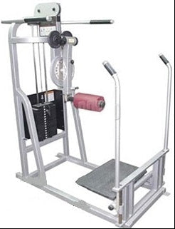 Life Fitness pro / pro1 Multi Hip