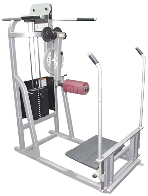Life Fitness pro / pro1 Multi Hip (Remanufactured)