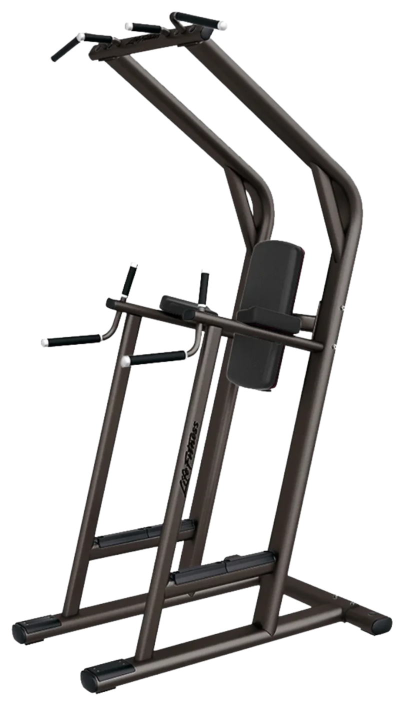 Life Fitness Signature Chin / Dip VKR Leg Raise (Remanufactured)