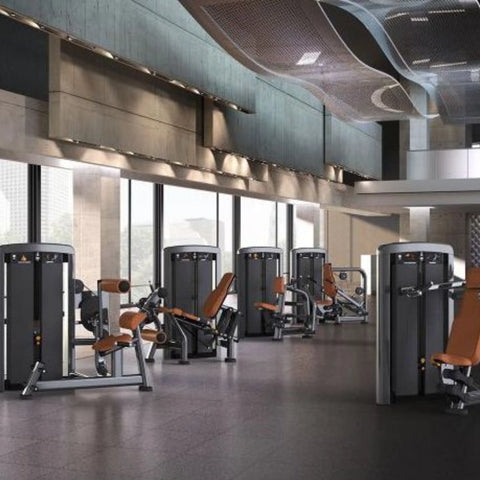 Life Fitness Insignia Series Row (Remanufactured)