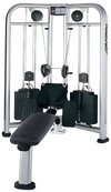 Life Fitness Signature CMRW Cable Motion Dual Row (Remanufactured)
