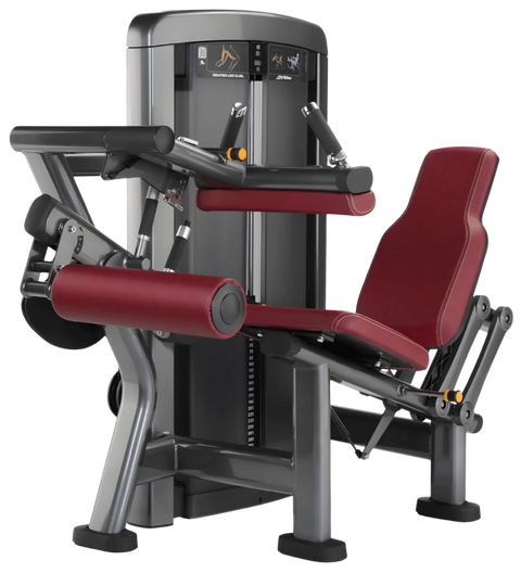 Life Fitness Insignia Series Seated Leg Curl (Remanufactured)