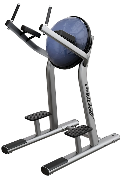 Life Fitness Signature Bosu VKR Leg Raise (Remanufactured)