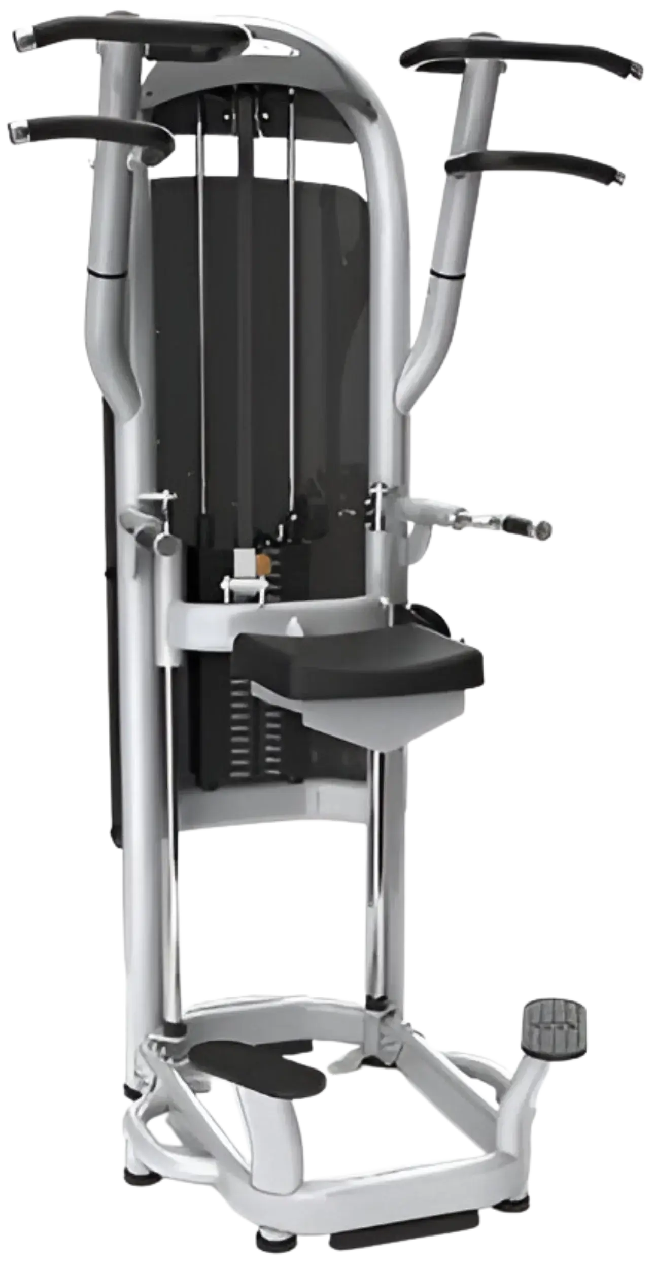 Matrix G3 Aura G3-S60 Dip / Chin Assist (Remanufactured) Image