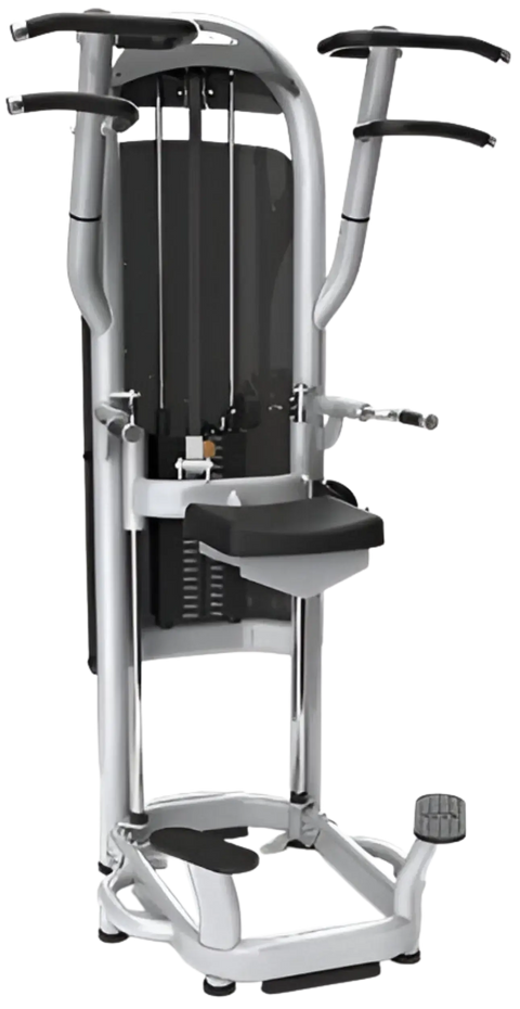 Matrix G3 Aura G3-S60 Dip / Chin Assist (Remanufactured) Image