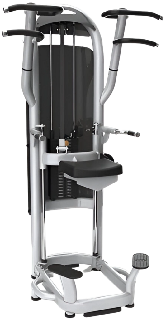 Matrix G3 Aura G3-S60 Dip / Chin Assist (Remanufactured)