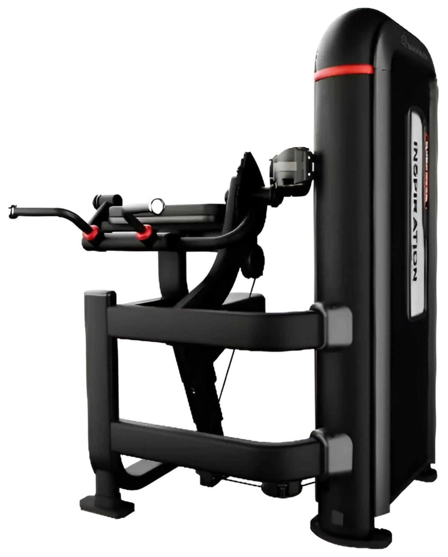 Nautilus Inspiration Bilateral Arm Curl 9-IPBA5-60BZ - Angled View