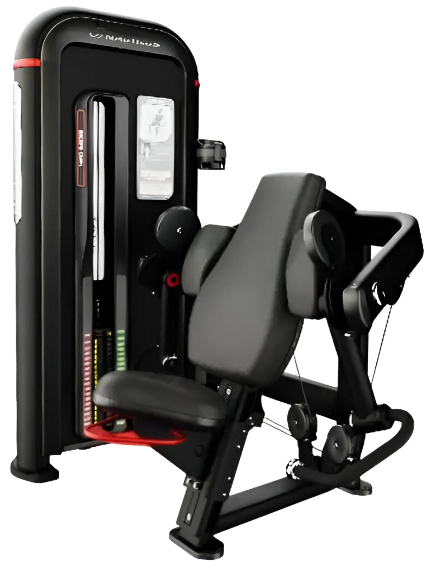 Nautilus Inspiration Biceps Curl 9-IPBC5-60BZ (New)