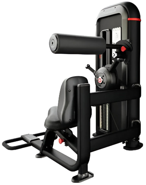 Nautilus Inspiration Back Extension 9-IPBE5-60BZ (New)