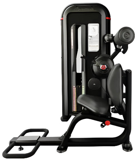 Nautilus Inspiration Back Extension 9-IPBE5-60BZ (New)