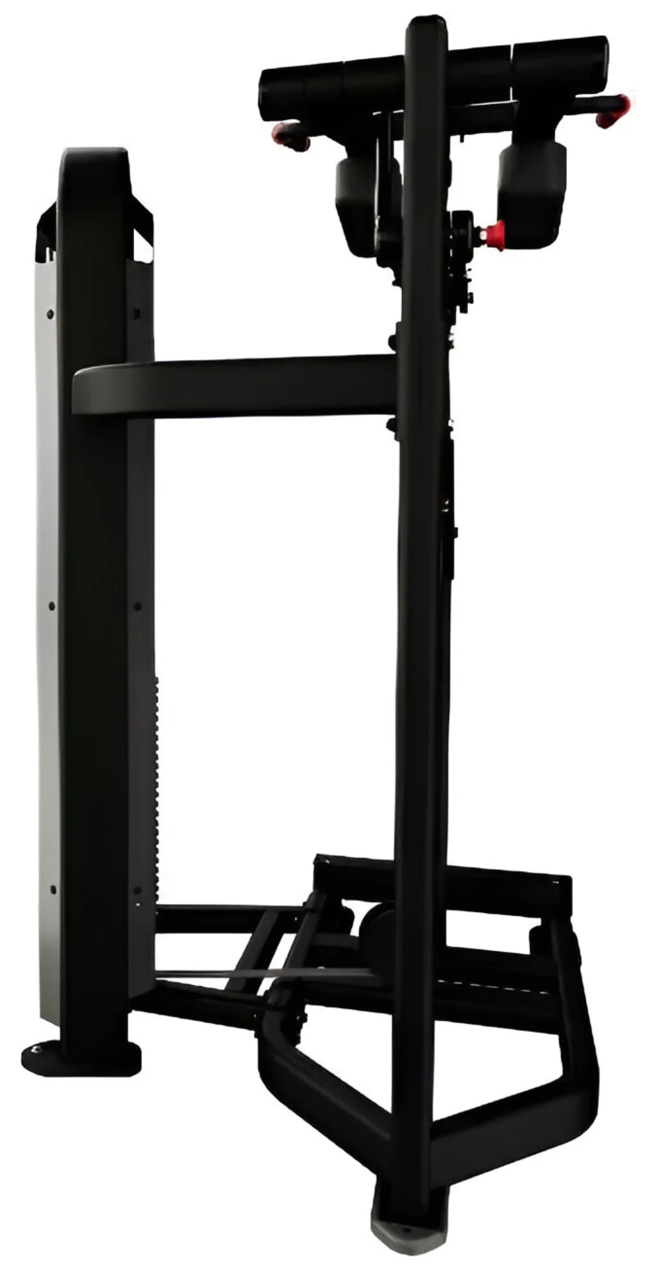 Nautilus Impact Standing Calf 9NA-S1309-60AGS (New)