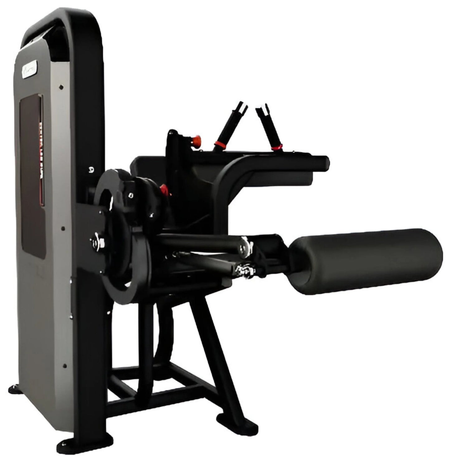 Nautilus Impact Seated Leg Curl 9NA-S1313-60AGS (New)