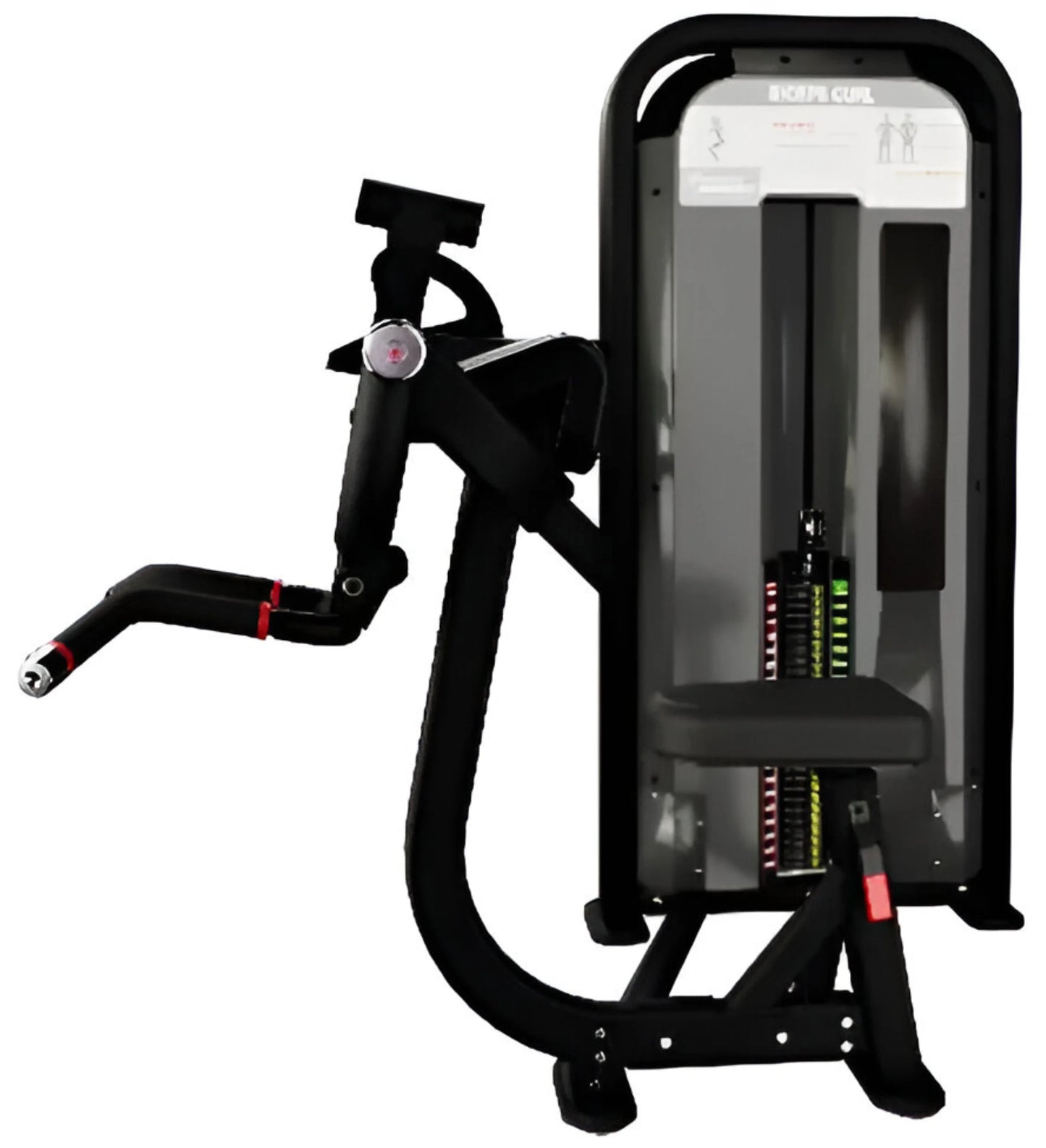 Nautilus Impact Biceps Curl 9NA-S5301-60AGS - Side View