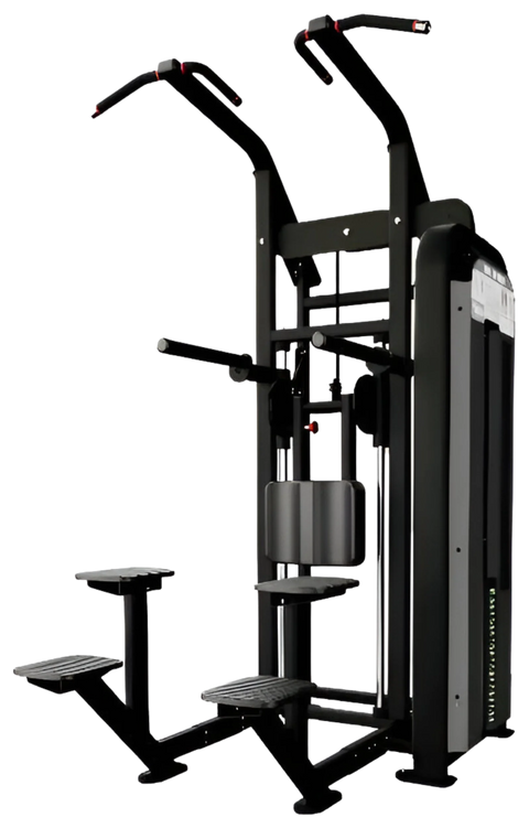 Nautilus Impact Chin Dip Assist 9NA-S6334-60AGS (New)