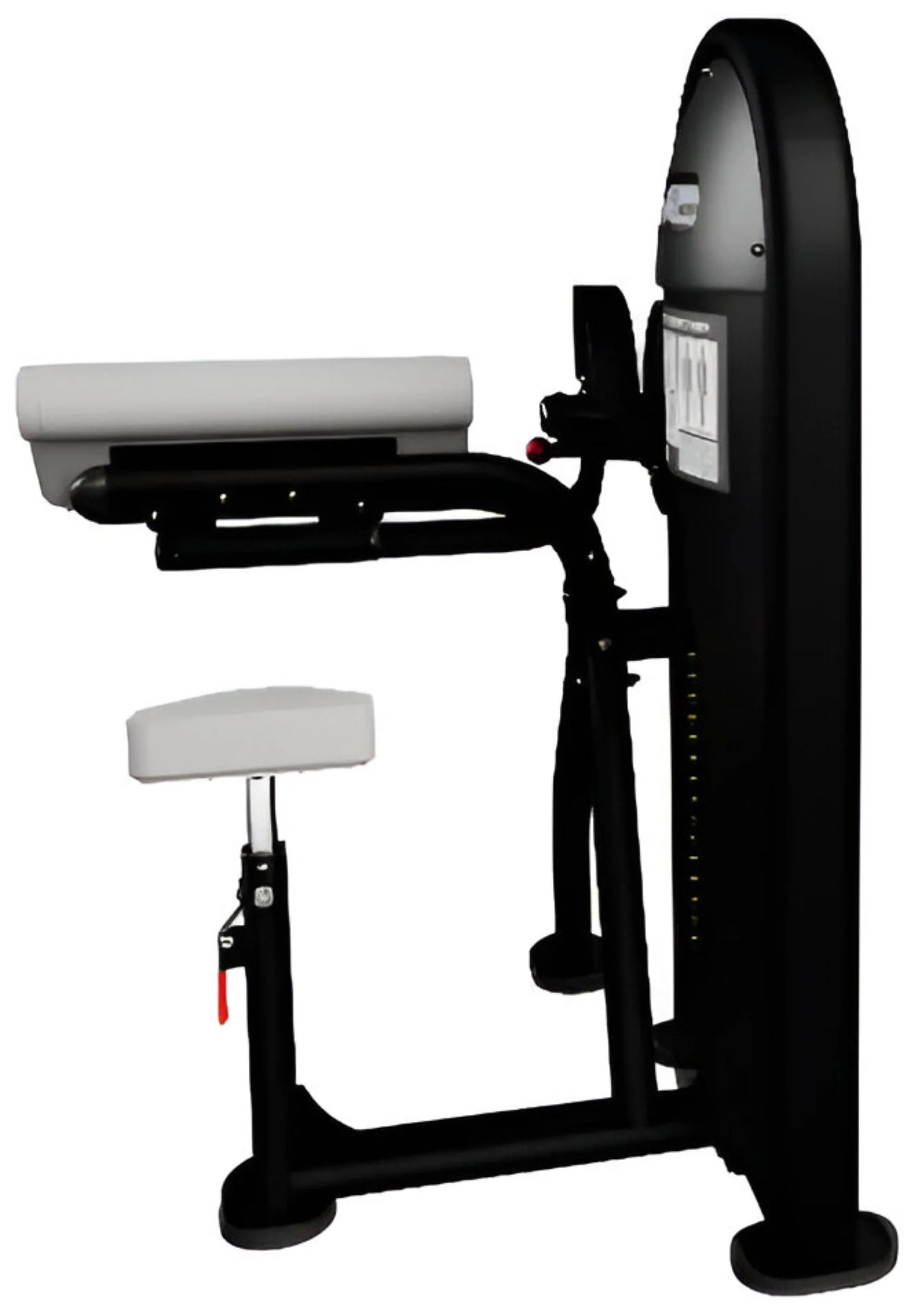 Nautilus Instinct Dual Biceps Curl / Triceps Extension 9NL-D5120-60ARS (New)