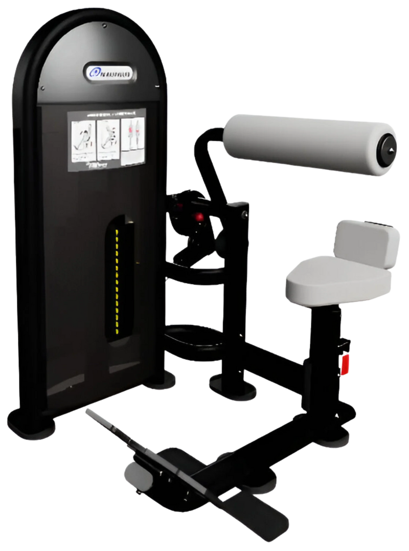 Nautilus Instinct Dual Abdominal / Lower Back 9NL-D6330-60ARS (New)